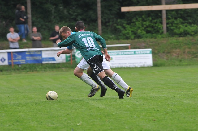 的生活条件 的生活条件