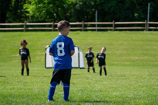 美收割了这 美收割了这